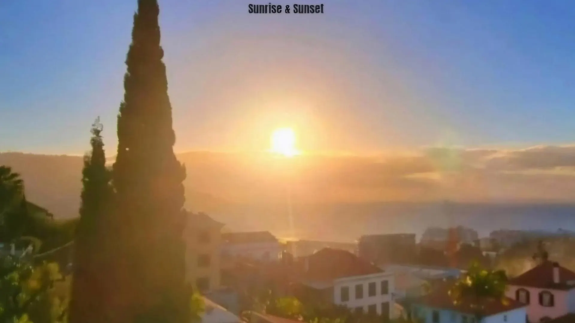 Panoramic Sunrise And Sunset Views, 5 Min From Funchal, Perfect Getaway For Travelers contacts
